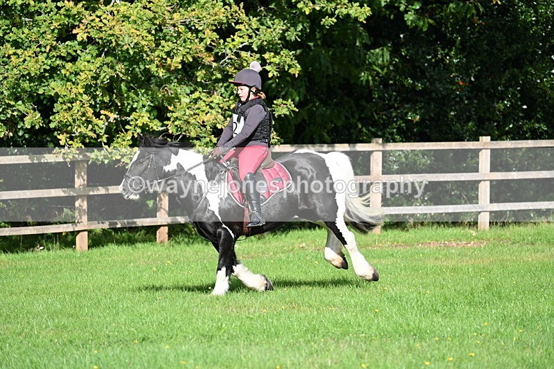 WJ7_3747 - 40cm Time 10:26 to 10:42