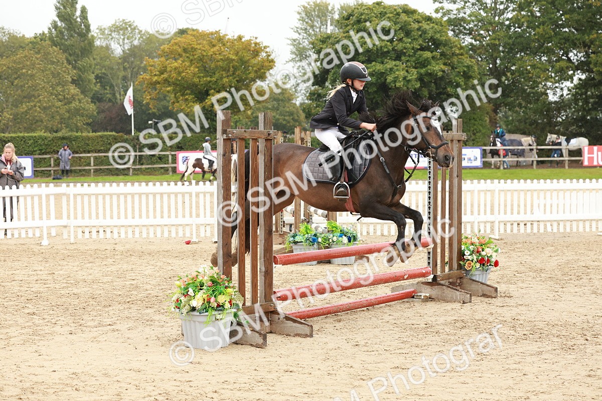 SBM_71099 - J14 - Junior Pony 65cm Championship