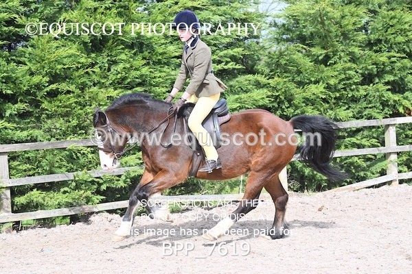 BPP_7619 - RING 1  (RIDDEN HORSES / IN HAND / VETERAN ETC)