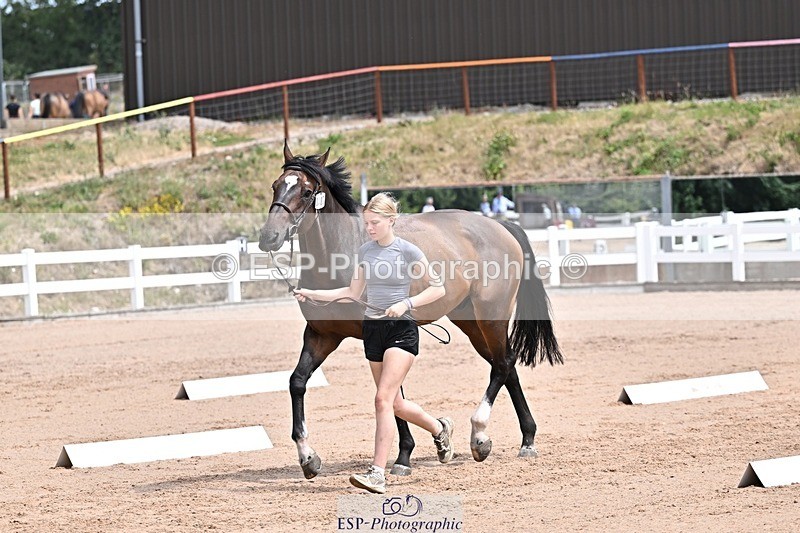 250716-125709-00247 - Trot Up 12.30 to 1.30