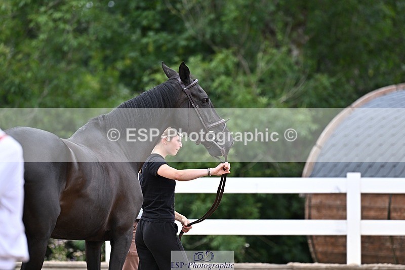 250716-134032-00620 - Trot Up 1.30 to 2.30