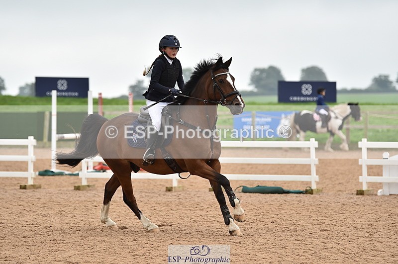 230902A-114104-00802 - Cls 2B Pony Small 80cm