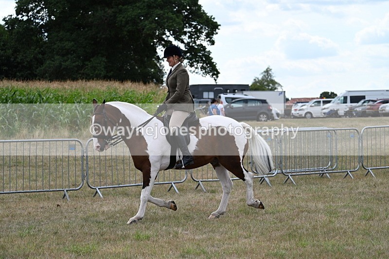 WJ7_4999 - Class 12 Ridden Cob