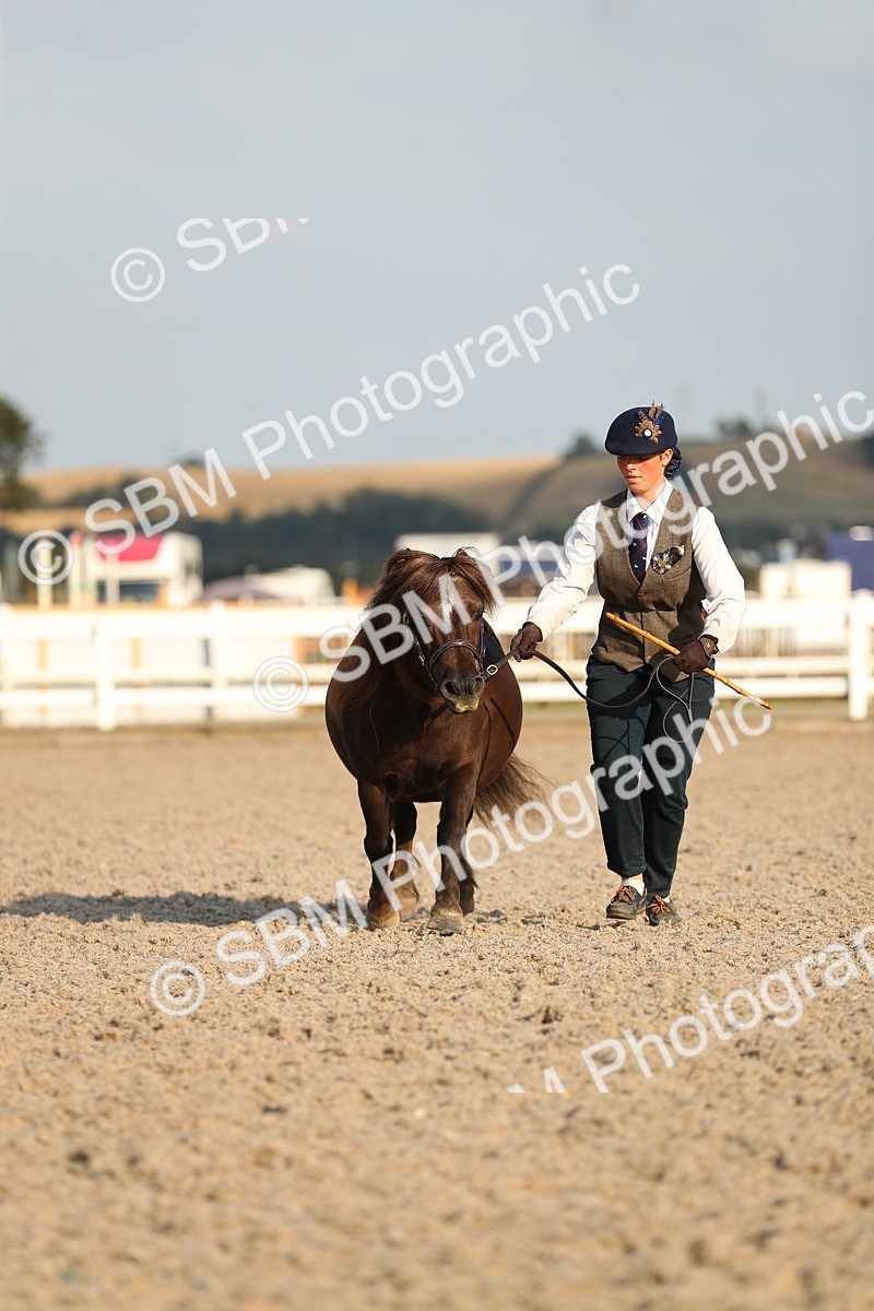 SBM_09056 - Class 29 IH Veteran Pony