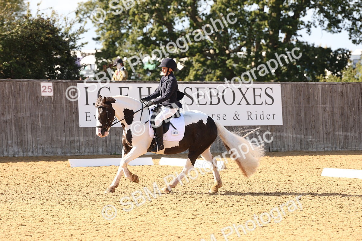 SBM_50437 - D12 - Small Tour Championship prelim 2