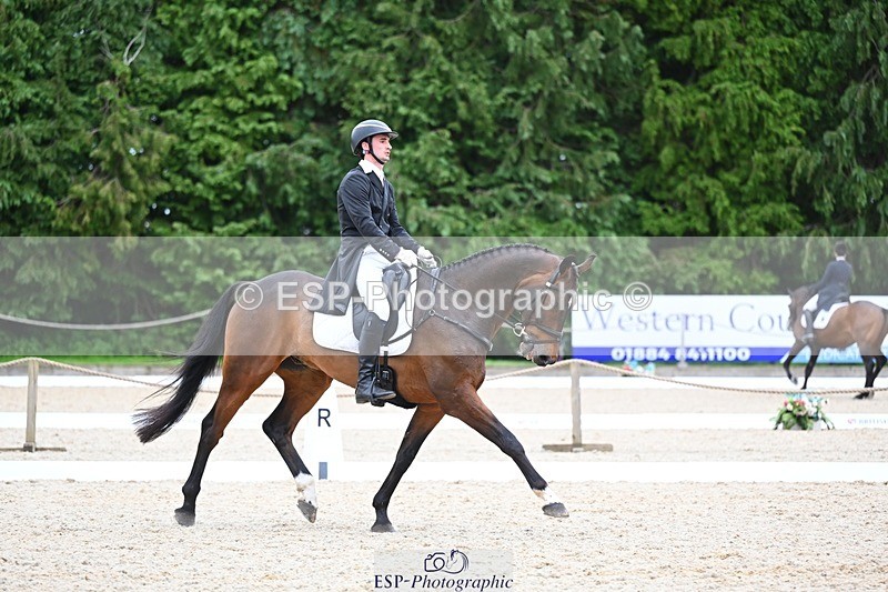 240524-175903-11538 - 162-HAZZLE_DAZZLE-Henry_Hobby