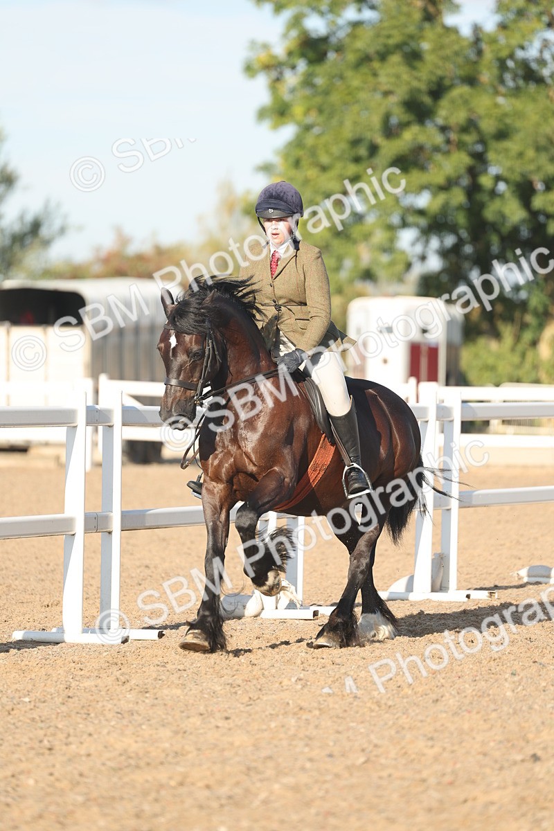 SBM_11036 - Class 302 - Ridden M&M Large Breeds