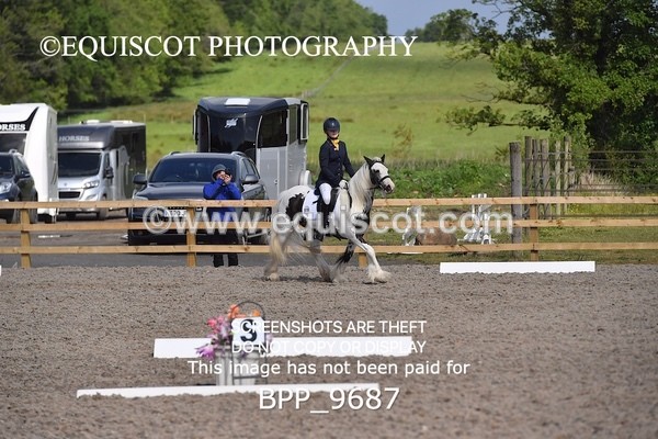 BPP_9687 - SHORT ARENA MY QUEST INTRO