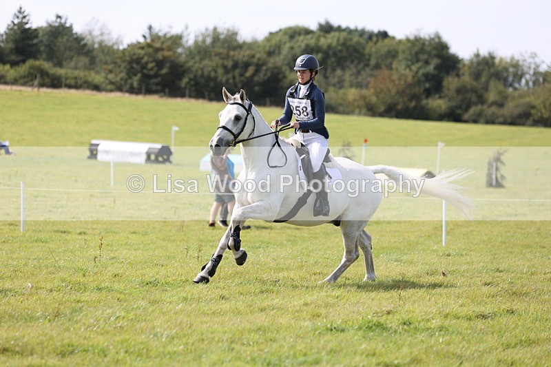 JPP_8832 - Class 2: Trekenning: 80cm Showjumping