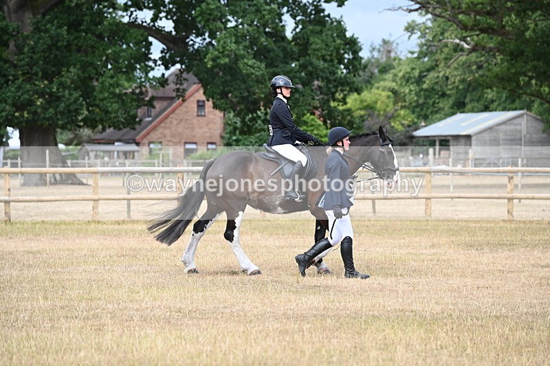 WJ6_7519 - Class 9 Tack and Turnout