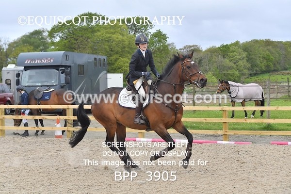 BPP_3905 - CLASS 2  Club/ Unaffiliated 80cms Open