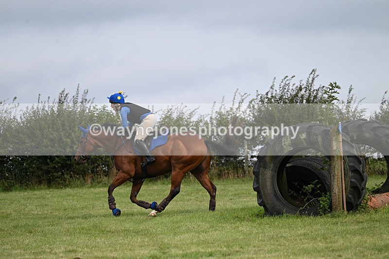 WJ7_6765 - Time 12:00 to 12:17