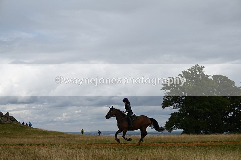 DSC_9162 - Time at Statue 14:33 to 15:10