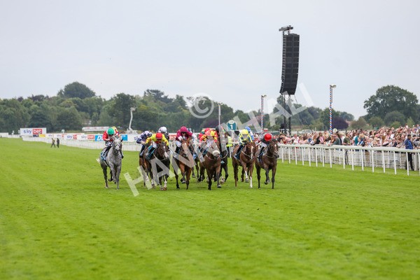 270724-Race 5-Theme Park-4751 - Race 5 4.35pm Sky Bet Prize Drop Handicap