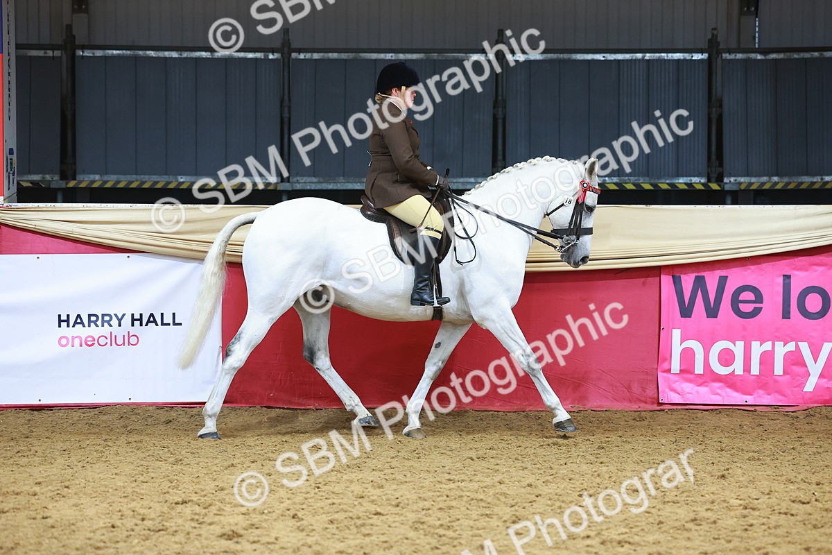 SBM_12416 - Class 103 - HOYS Veteran Qualifier - Ridden Pre Vet