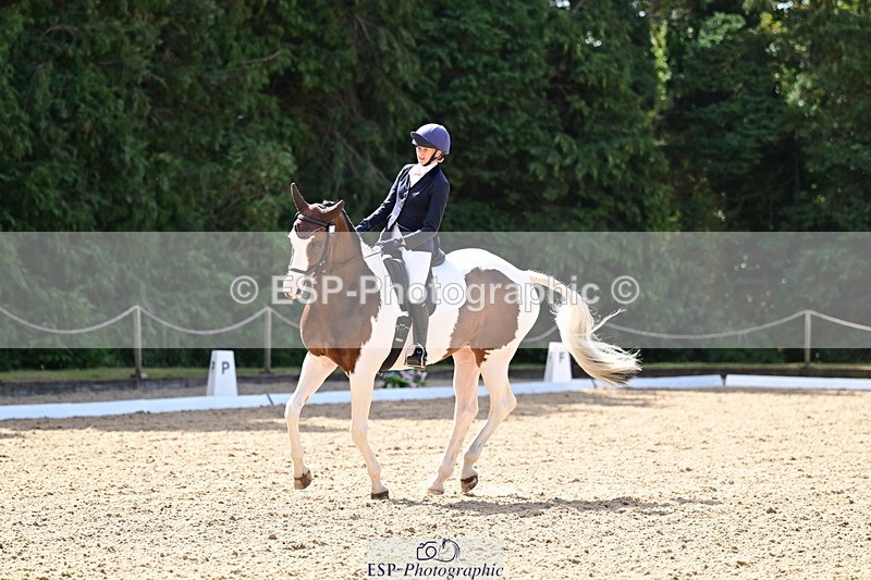 260731A-103714-00036 - Elementary Bronze 10.30 - Break
