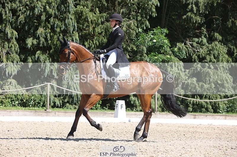 230526-145953-06598 - 377-GOLD_NUGGET-Jillian_Giessen-WEDTrotUp+DR