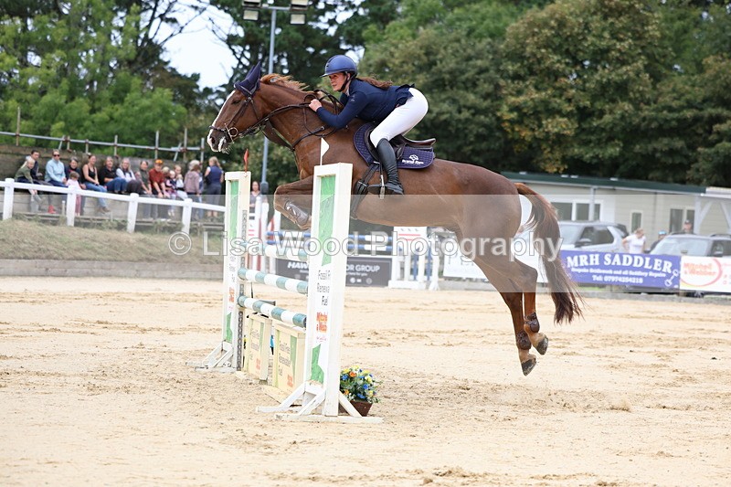 3E7A3353 - Class 9: Senior Foxhunter/1.20 open