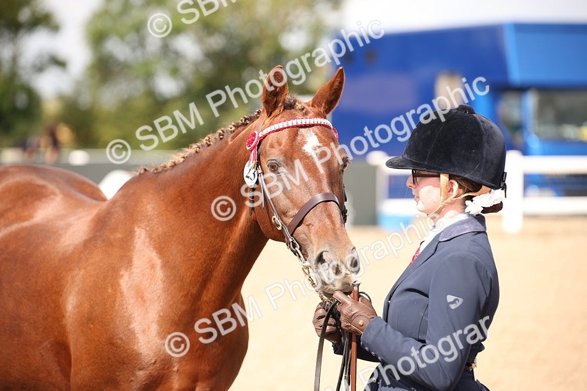 SBM_03747 - Class 19 Judge's Favourite