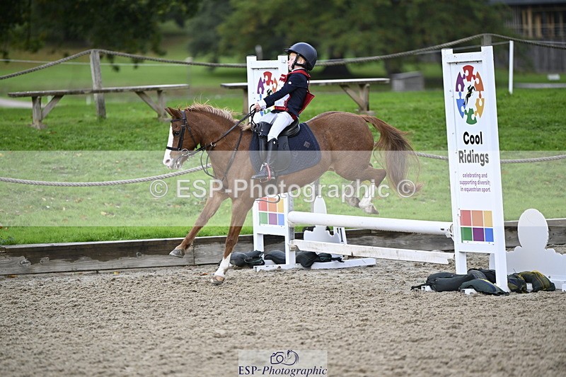 251005A-090915-02968 - Cls 02 GR 50cm