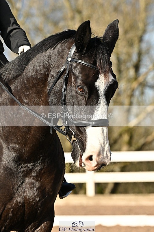 241214-132501-02414 - 119-Rosey.Bradburn-High.Spirits.II