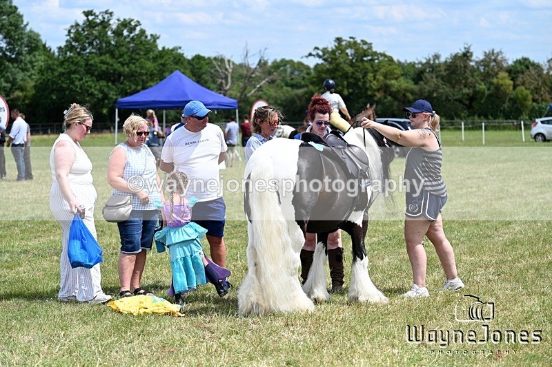 WJ7_7977 - Nancy And Churchill SORC summer show 21-06-26