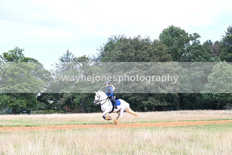 DSC_8742 - Time at Statue 14:33 to 15:10