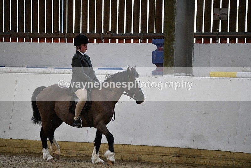 WJ5_7239 - Class 11 Ridden PC - RC Pony