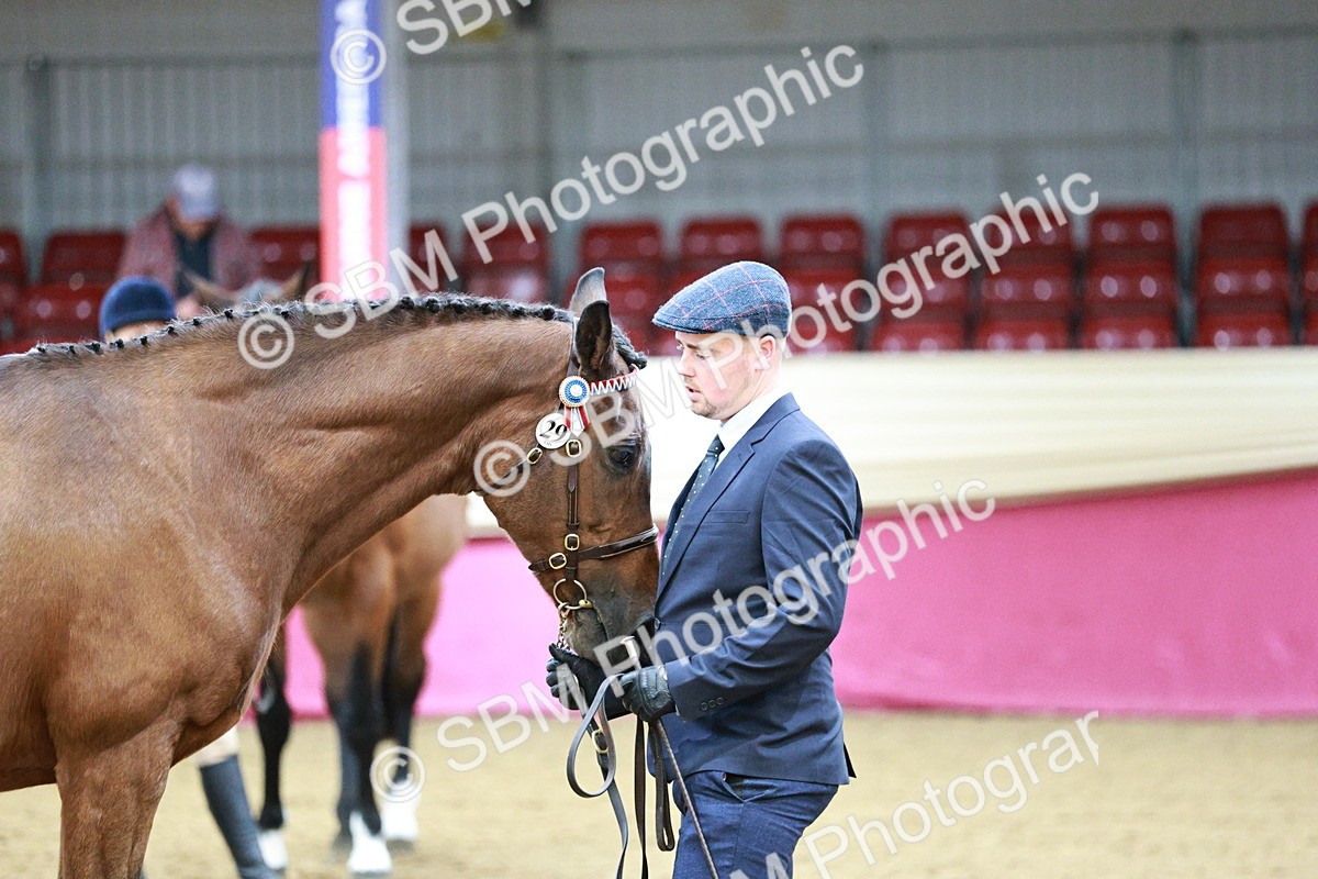 SBM_00249 - Class 1A - Area IH Diamond