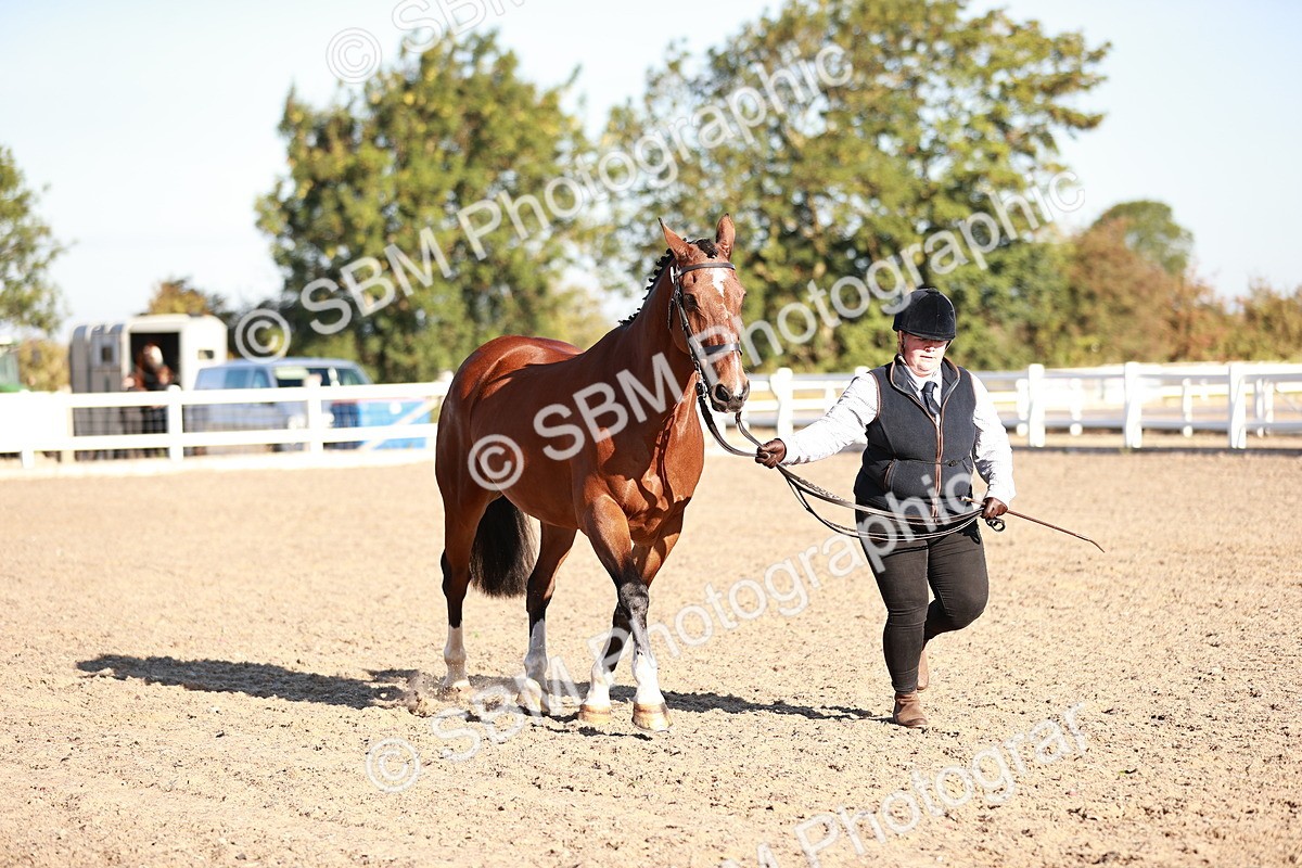SBM_11208 - Class 401 - IH  Veteran horse