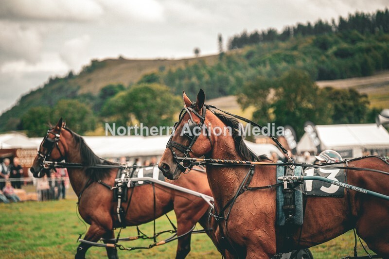 DSCF7367 - Kilnsey Harness racing