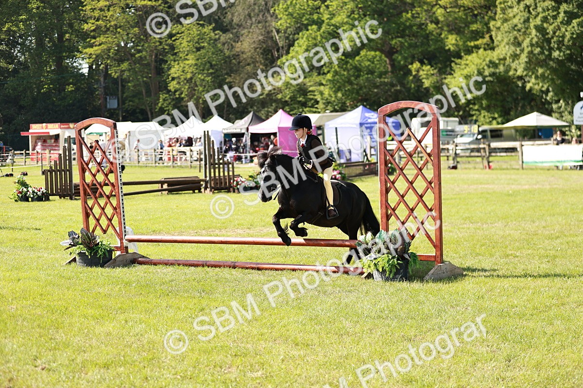 SBM_12597 - Class 106-107 - BSPS LIHS Working Sports Pony