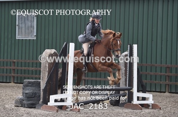 JAC_2183 - CLASS 2 Novice Working Hunter