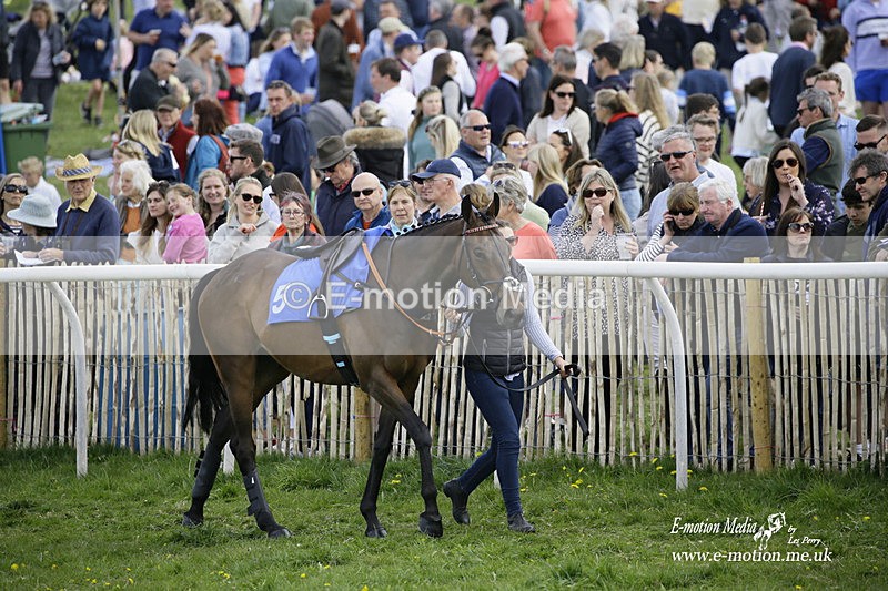 PtP 180422 45 - Old Berkshire PtP Lockinge 18/04/22