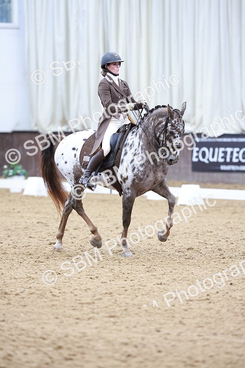 SBM_021404 - Class 14 - FEI Grand Prix - 17.40-18.34
