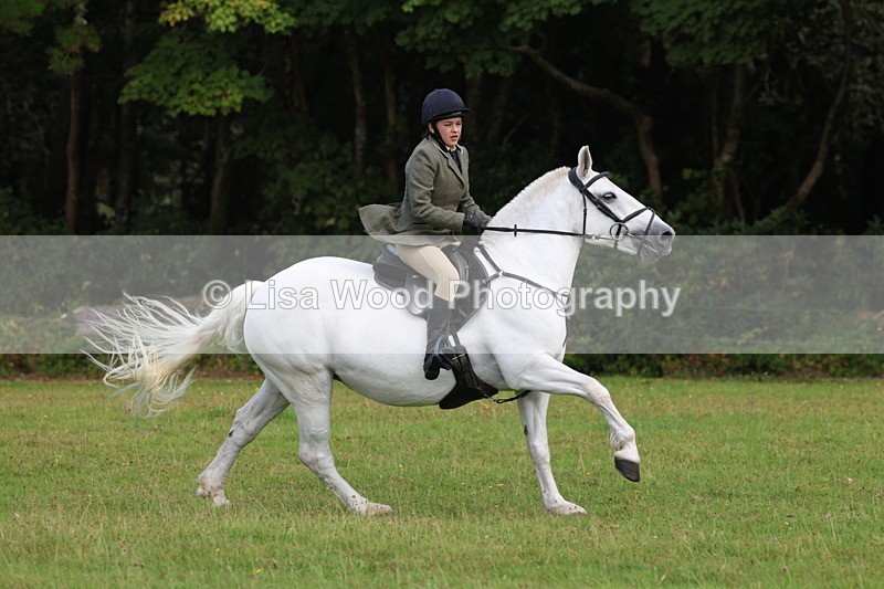 3E7A6002 - Class 28: 75cm Working Hunter