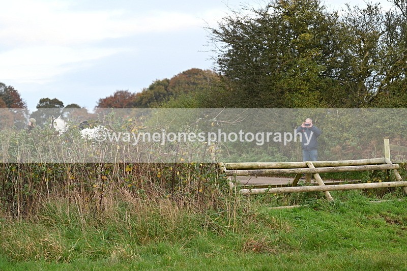 WJ7_0369 - Camera 1 & Last fence