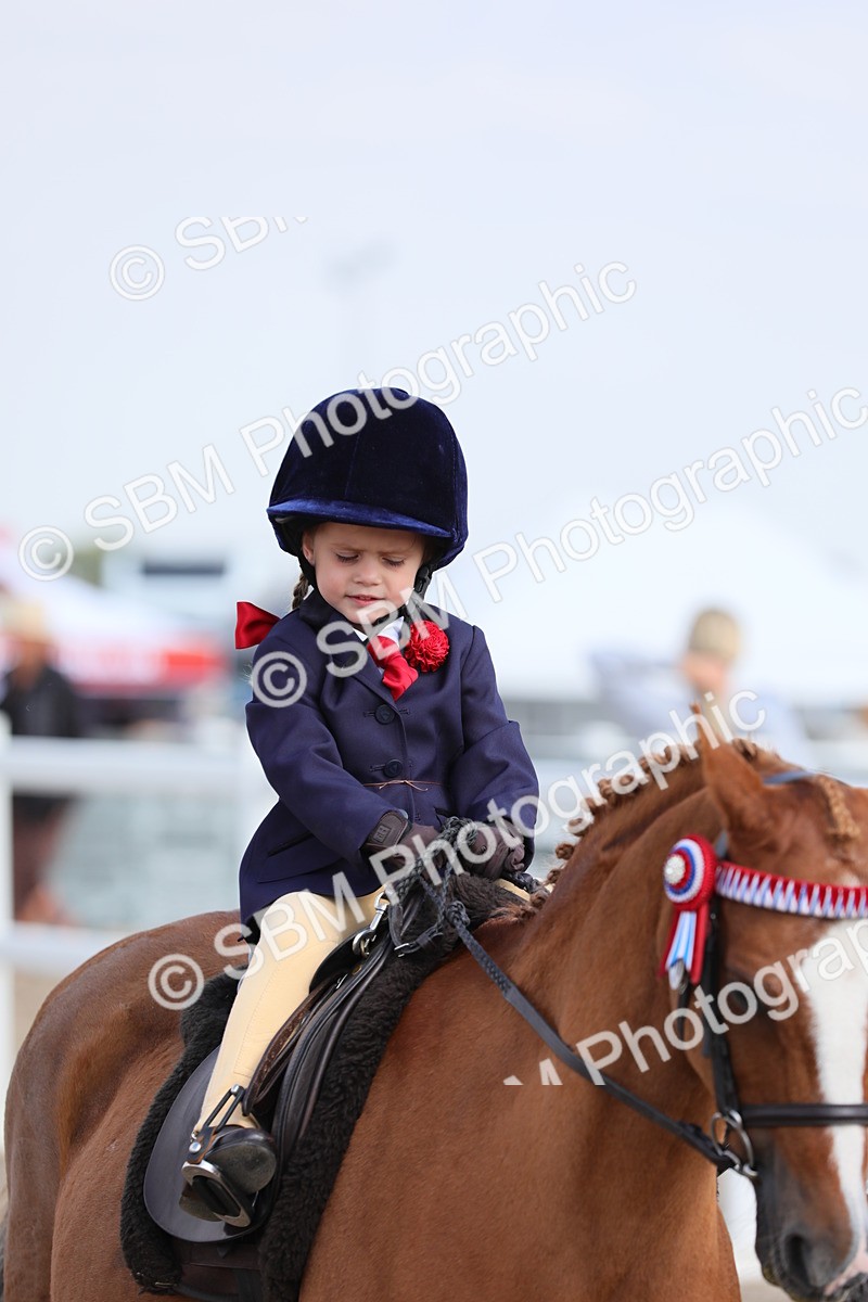 SBM_14016 - Class 309 Lead Rein Pony