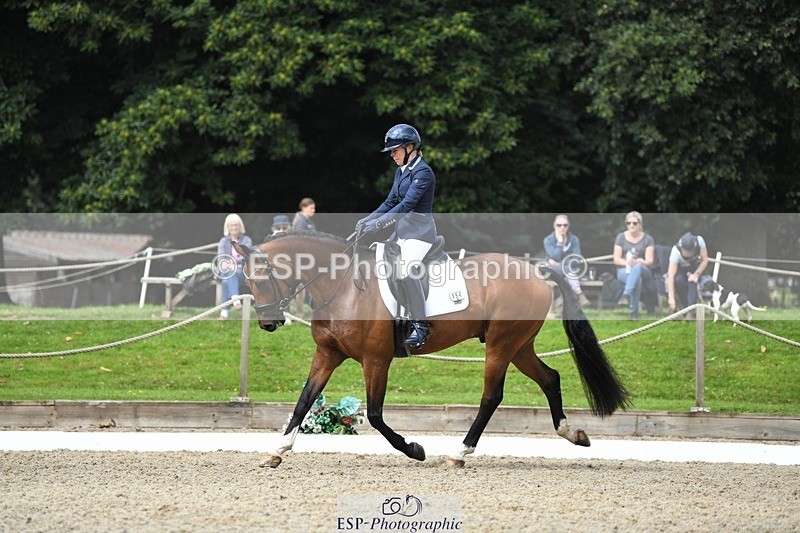 230812-112032-03594 - Cls 6 Novice Silver 10.30 to 11.55 break