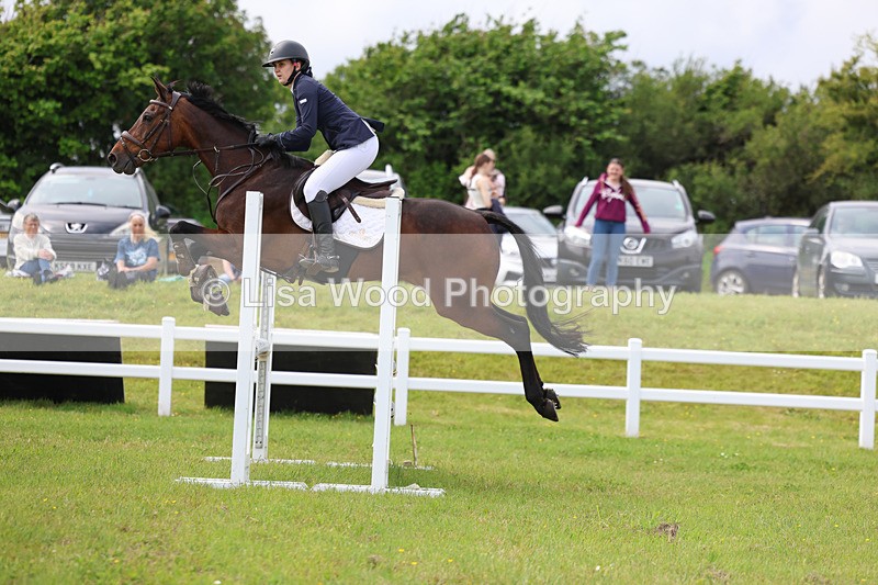 3E7A7580 - Class 13: Senior British Novice/90cm open