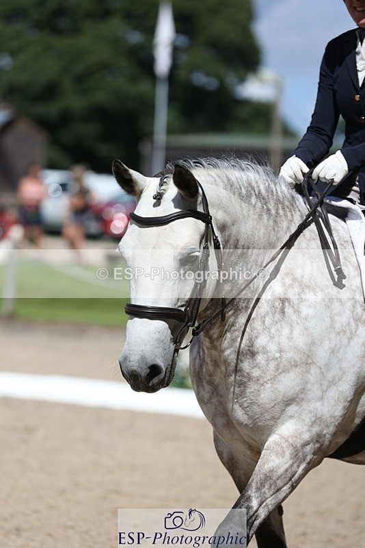 230811-115406-00954 - Cls 1 Prelim Bronze 11.10 to 12.35 break