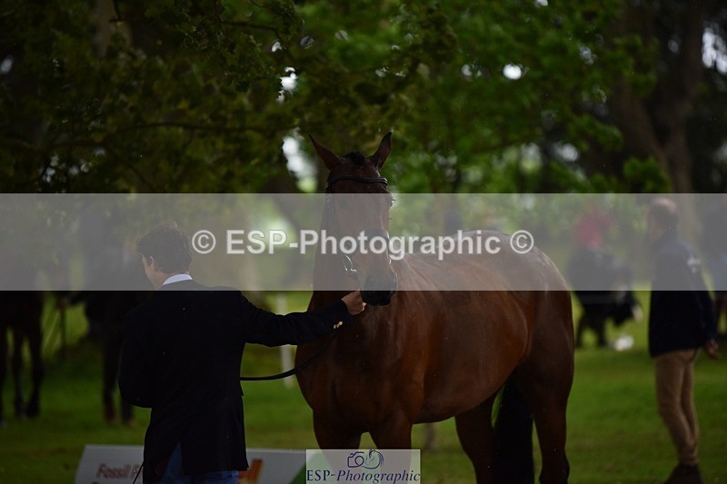 240522-151212-00162 - 308-COOLEY_ANYTHING_YOU_LIKE-Harry_Meade