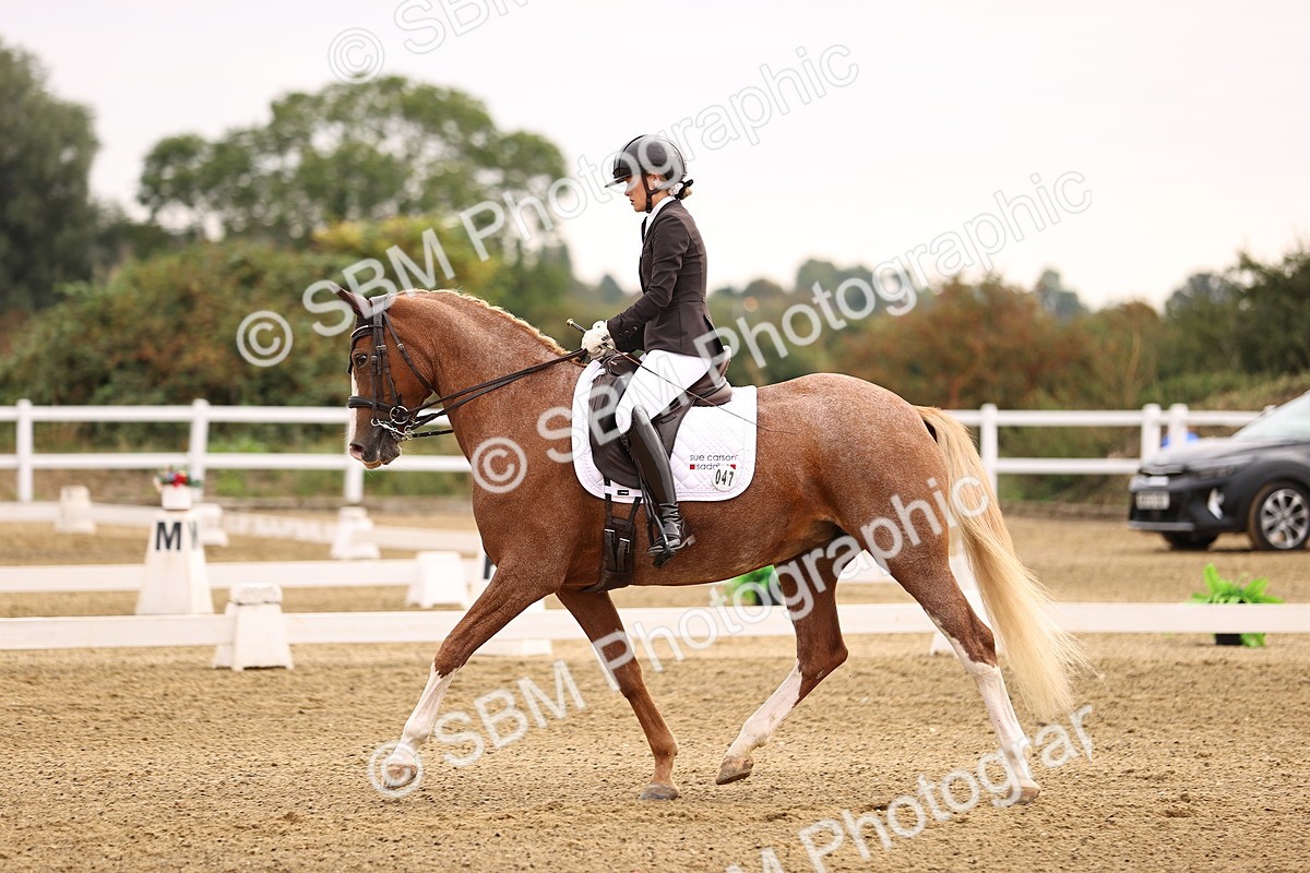 SBM_011525 - Class 1 - Medium 5