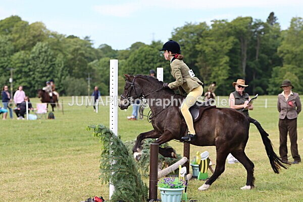 IMG_2574 - Working Hunter