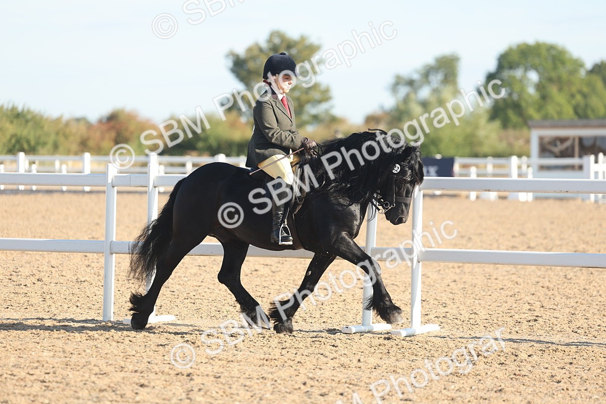 SBM_10983 - Class 302 - Ridden M&M Large Breeds