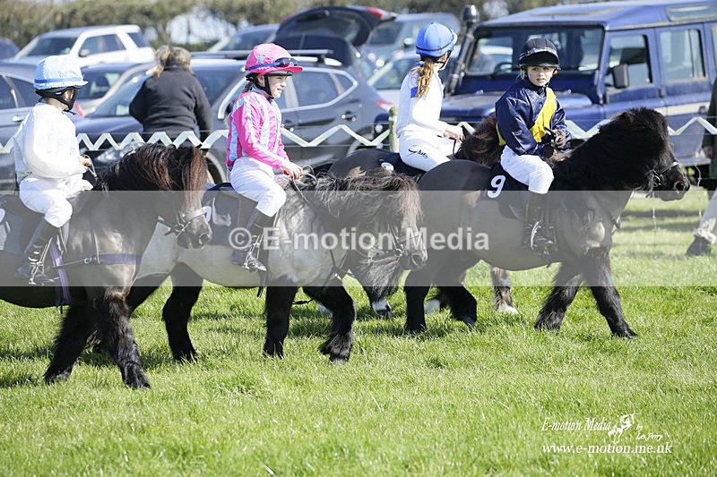 PtP 190322 97 - Wilton Hunt PtP Milborne St Andrew 19/03/22