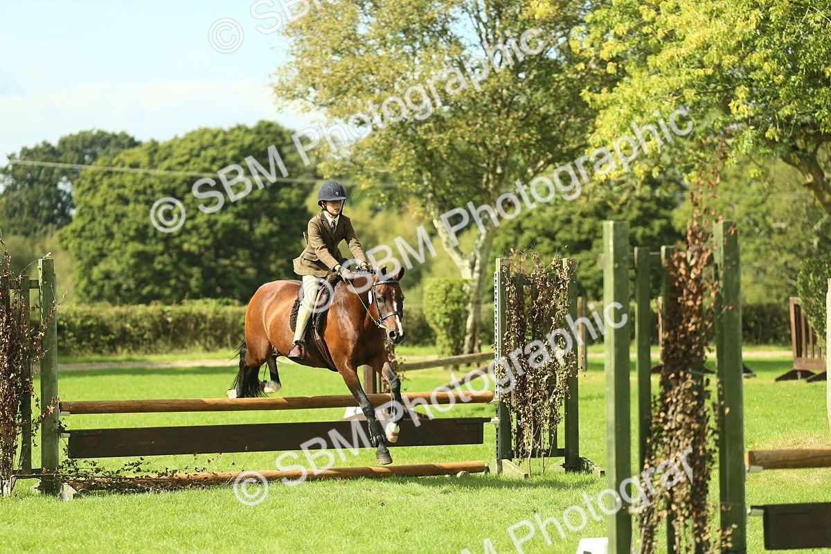 SBM_44596 - S31 - Working Hunter Pony