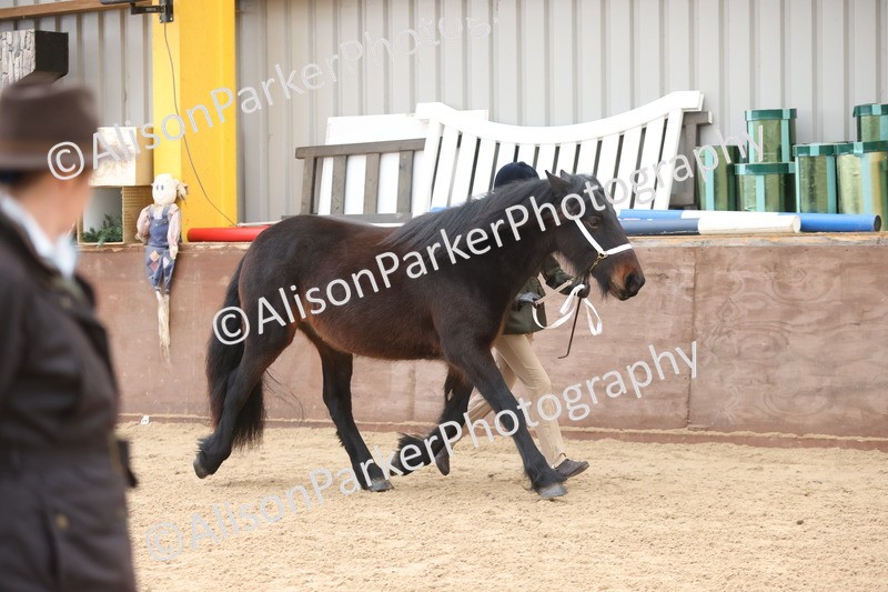 20251109-0919 - Class 26 - 2 and 4 Year Olds