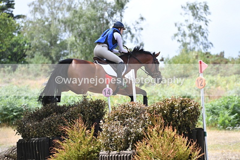 WJ5_1962 - XC Time 12:05 to 12:55