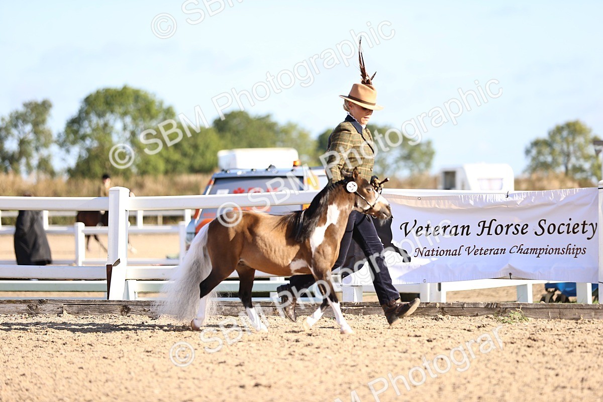 SBM_08455 - Class 402 - IH Veteran Pony